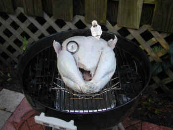 Turkey 14 lbs on the grill